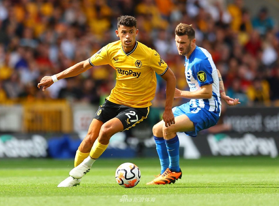 0米自由泳 0米自由泳