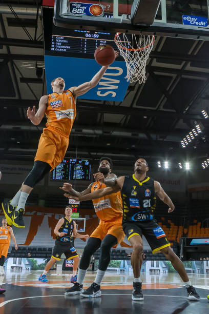 龙与远古龙 龙与远古龙